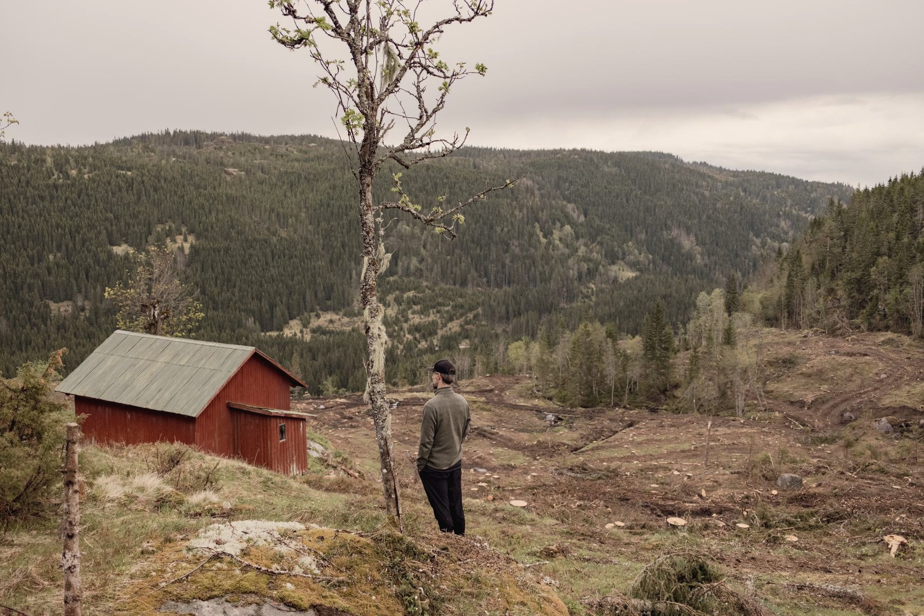 Utsikten over Luksefjell fra naboseteren.